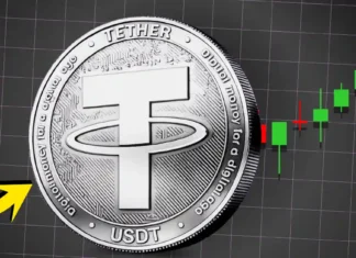 Tether CEO backs stablecoins over tokenized deposits as BIS raises risks