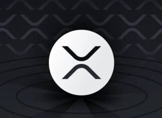 XRP Ledger 3.3.0 brings privacy and batch upgrades