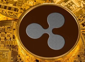 XRP Ledger privacy vote targets $530M RWA market