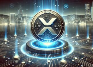 XRP bridge exploit update tx identifies flaw, alerts FBI