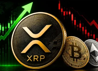 XRP price rally meets $10M Wintermute-linked short XRP price rally meets $10M Wintermute linked short