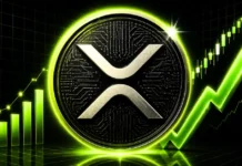 XRP price rebounds above $1 as Peter Brandt favors Bitcoin