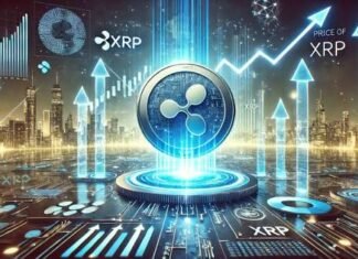 XRP price rebounds above $1 as Peter Brandt favors Bitcoin