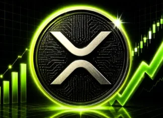 XRP price rebounds above $1 as Peter Brandt favors Bitcoin