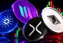 Altcoin market cap adds $371B as 87% turn bullish