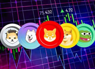 Meme coin phishing pages trick traders with fake Cloudflare checks