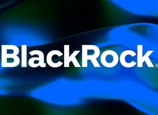 Stablecoins must preserve one form of money: BlackRock