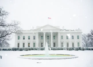 White House adviser disclosed up to $5M in Coinbase stock