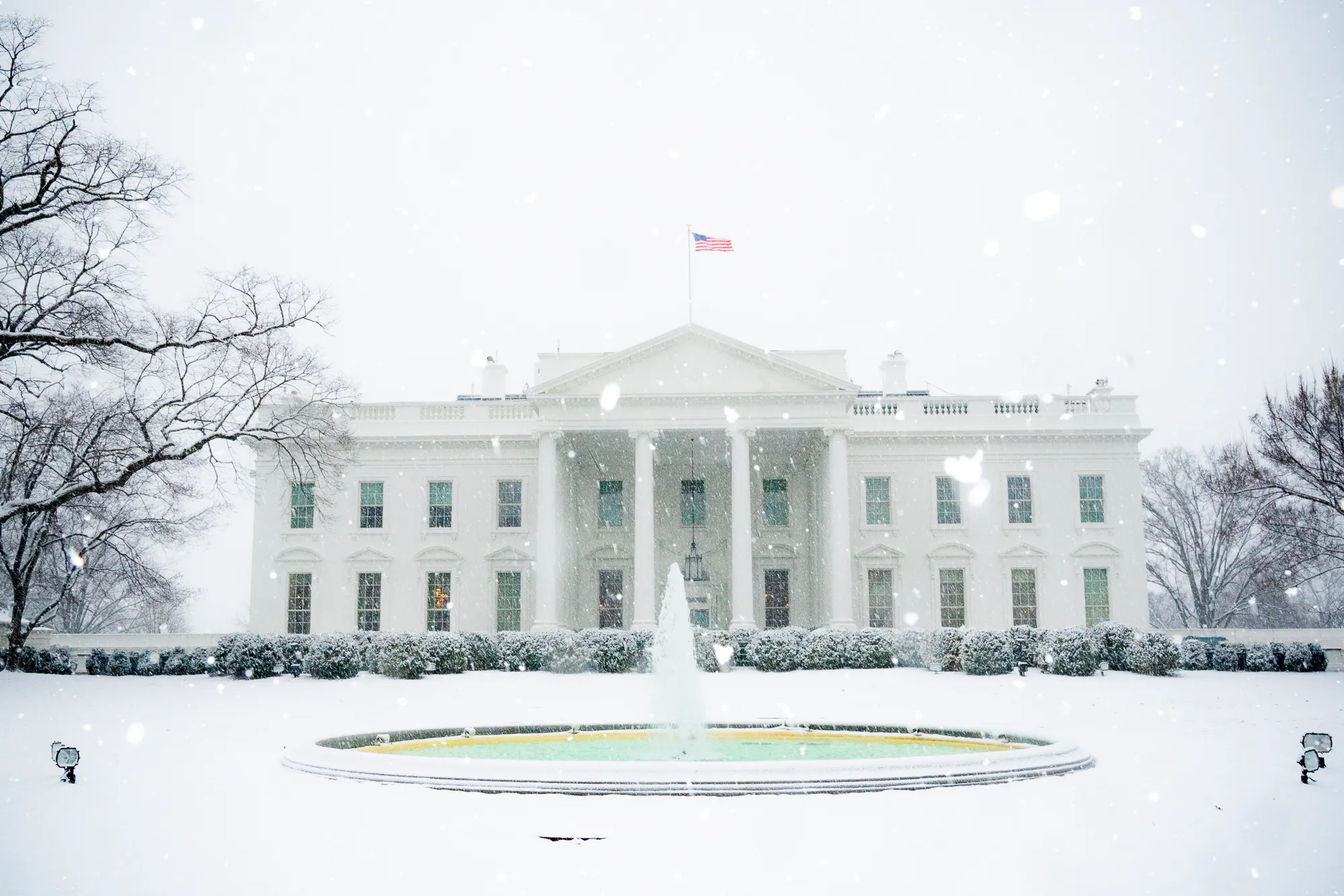 White House adviser disclosed up to $5M in Coinbase stock
