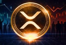 XRP interest grows among wealth managers, Bitwise says XRP interest grows among wealth managers, Bitwise says