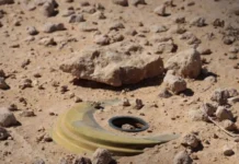 A landmine targeted oil and gas exploration teams in Muthanna.