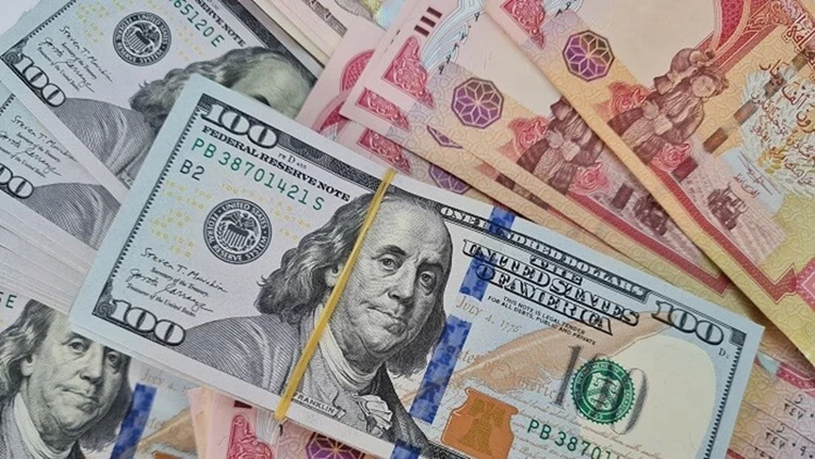 Al-Fariji: The revenue generated from the change in the exchange rate does not represent a profit.