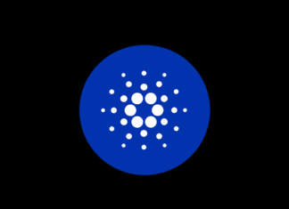 Cardano lets token issuers freeze and seize assets under new rules