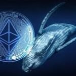 Ethereum whales sell as outflows hit four-month high of 169,770 ETH
