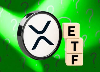 Evernorth taps Ripple and three firms for 473 million XRP treasury plans