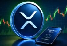 Ex-Ripple exec on XRP’s 13M AI payments: What’s next?
