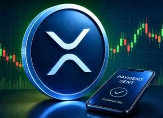 Ex-Ripple exec on XRP’s 13M AI payments: What’s next?