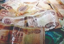 Government advisor: The success of the damaged currency exchange platform depends on ease of use and speed of completion.