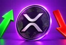 XRP price rebounds to $1.31 as ETF outflows end 13-week streak
