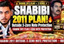 URGENT DINAR UPDATE! Outside 3-Zero Note Protection & Shabibi 2011 Plan! - IQD News