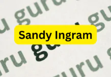 Sandy Ingram Dinar Guru