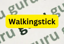 Walkingstick Dinar Guru