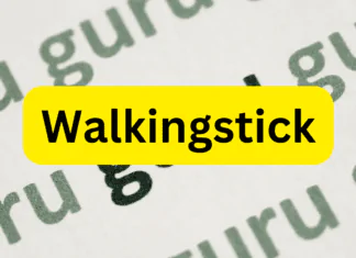 Walkingstick Dinar Guru