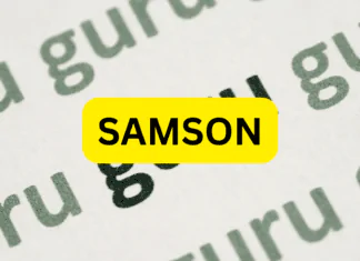 SAMSON Dinar Guru