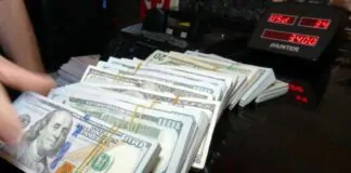 CBI sells +$206 million in forex on Monday