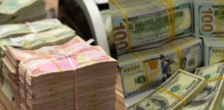 Central Bank: There is no problem with the liquidity of the dinar, and we will launch a new mechanism for granting dollars