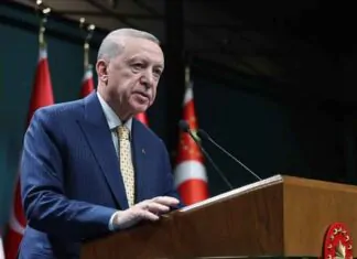Erdogan sets 60 days to “resolve” Al-Faw port: We are working with Abu Dhabi and Baghdad quickly