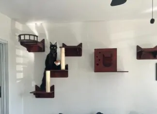 MarkZ – Weekend News with Zester and the CBDGurus 2/10/2024