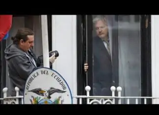 MarkZ – Evening News with MarkZ and Zester. 02/15/2024