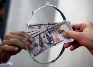 “Hidden Forces of Speculation”… Economist Reveals New Reason for Dollar’s Rise