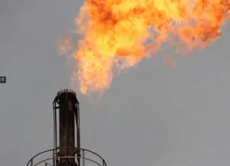 Iraq exports over 54M barrels of oil to US in first 7 months of 2024: EIA