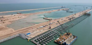 Turkiye to make major investment in Development Road project