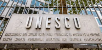 UN announces $1.3m Contract for Education MIS in Iraq