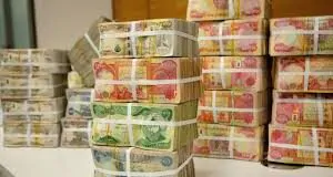 "With a unique experience," a government advisor reveals the features of the 2026 budget.