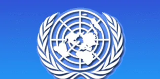 BEIT Project Addresses Iraq's Housing and Employment Challenges