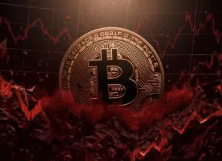 Bitcoin tumbles, crypto market faces sharp decline as fear grows