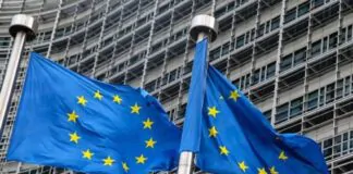 EU supports Iraq’s endeavors to diversify economy