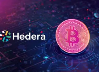 Hedera integrates WBTC to unlock Bitcoin DeFi for users