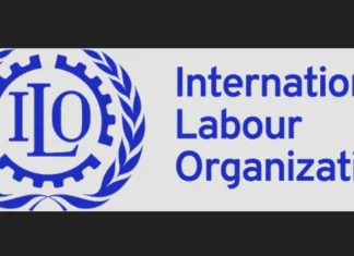 ILO Strengthens Employment Services in Iraqi Kurdistan & Ninewa