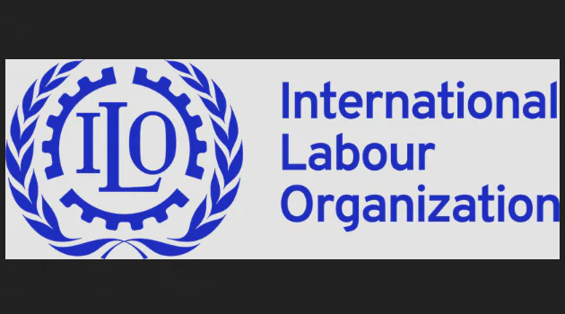 ILO Strengthens Employment Services in Iraqi Kurdistan & Ninewa