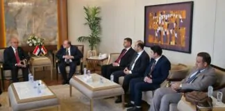 Iraq, Egypt Advance Pharma and Healthcare Cooperation