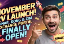 November RV Launch! Dinar, Dong & ZIM Exchange Portal Finally Open! – Iraqi Dinar News!