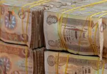 An economist reveals a shocking figure for the annual income of an Iraqi citizen