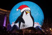 PENGU price bucks Christmas lull as it appears on the Las Vegas sphere