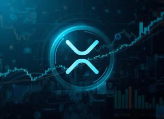 XRP falls to key support level as analysts monitor price action: ‘It’s going to get bullish!’