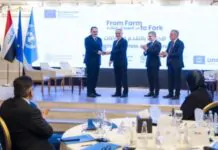Agri-Food Programme Highlights Pathways to Investment in Iraq